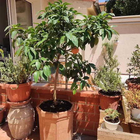 Apartman Follonica Lodging